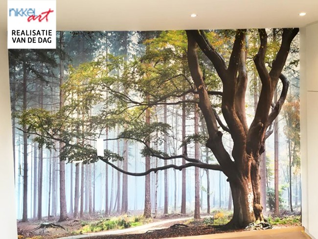 Fotobehang: altijd een bossen in de buurt