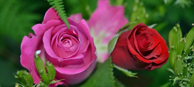 Een kleine tuin inrichten – 4 ideeën