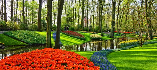 Ontdek hoe je een vleugje mediterrane charme toevoegt aan je tuin