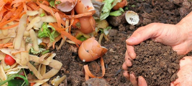 Beste Meststoffen voor Bloemen – Laat ze Stralen