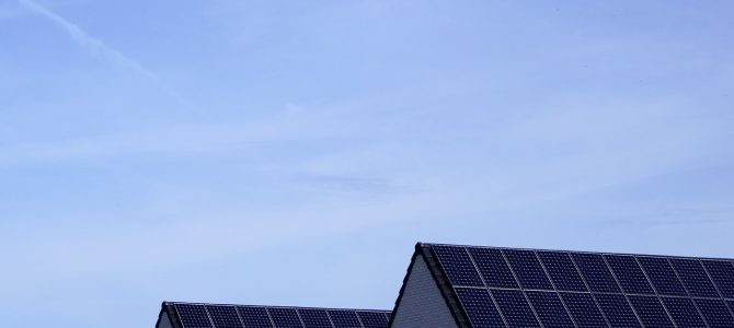 Gebruik van Bomen en Struiken voor Natuurlijke Koeling