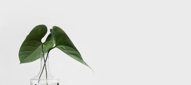 Hoe een regeneratieve thuisomgeving stress kan verminderen