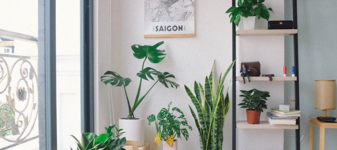 Waarom grote beelden zorgen voor meer beleving in huis
