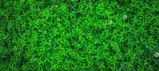 Biocompatibele raamfilms: verfris je huis met eco-vriendelijke tinten
