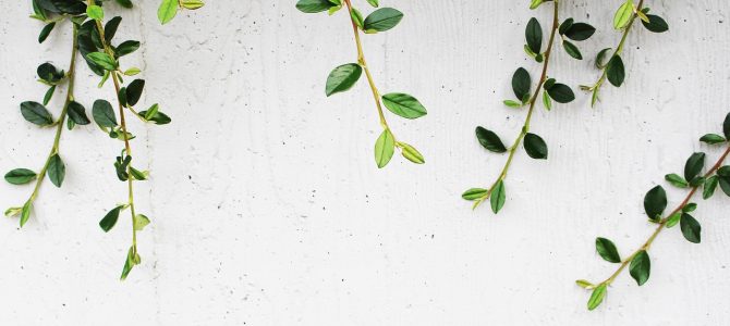 Minimalistisch tuinieren: tuinen voor moderne ruimtes