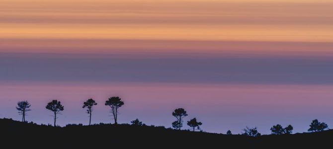 Haal de magie van zonsondergang in huis met kleurenpaletten