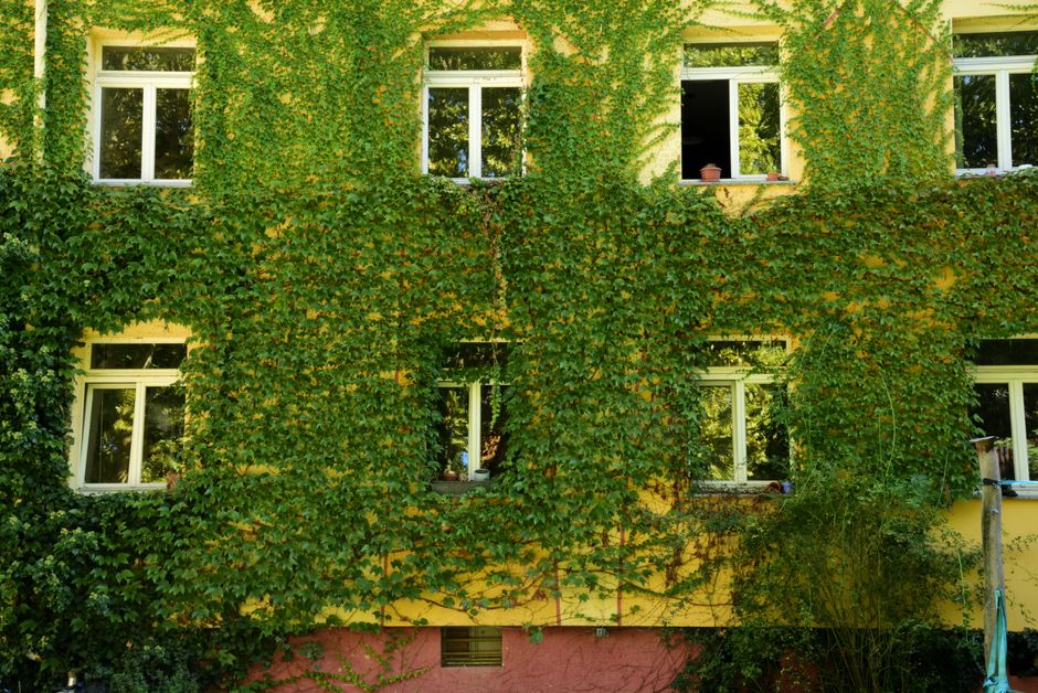 Frisse mintgroene muurkleuren in woonkamer.