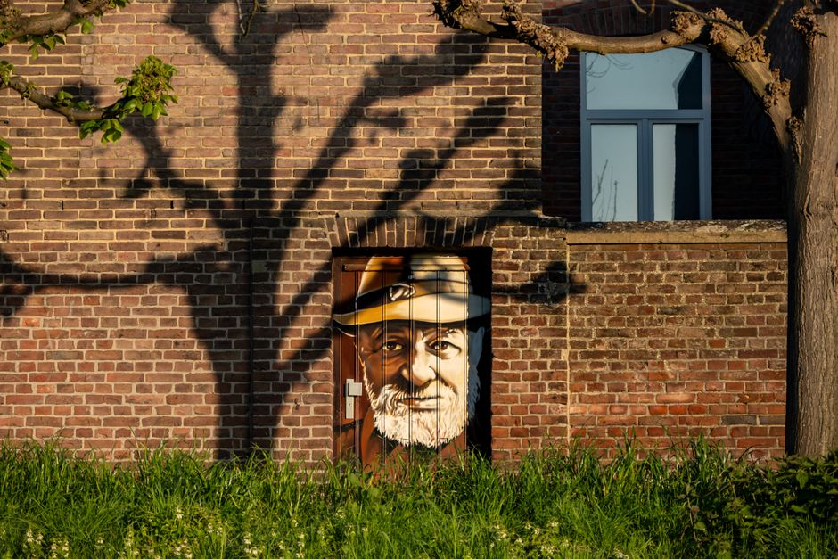 Verkenningschilderij onthult kameleon in camouflage.